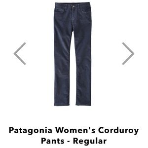 Patagonia Blue corduroy pants